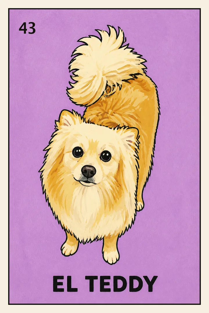 El Teddy - Custom Lotería card