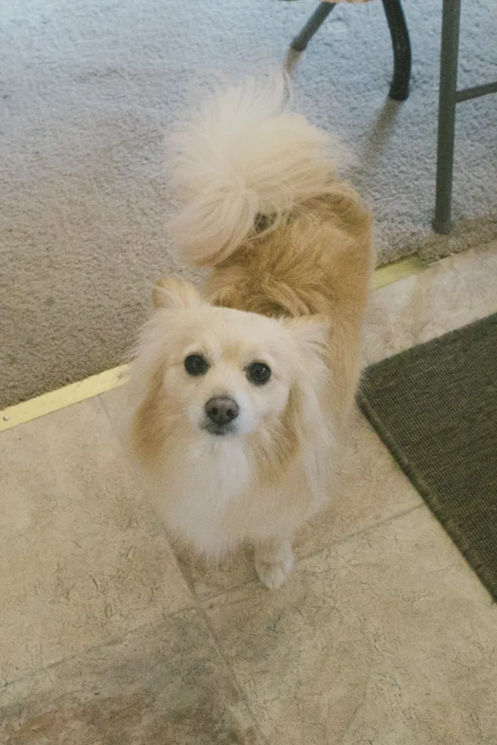 The original photo behind El Teddy