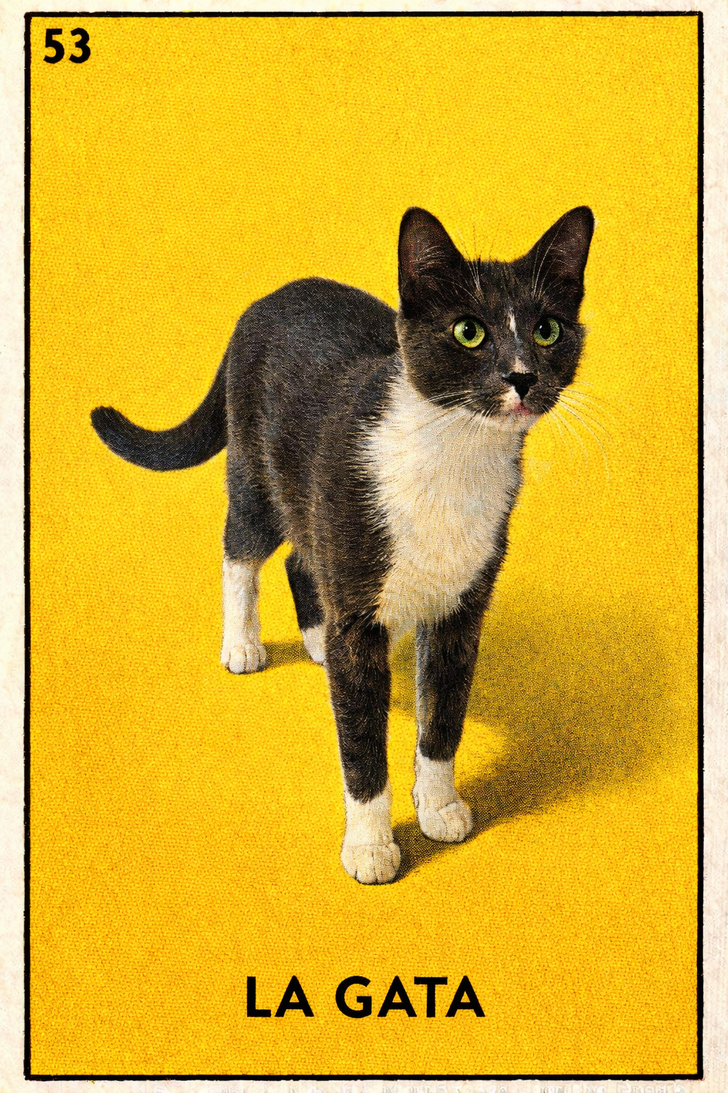 Example Lotería card